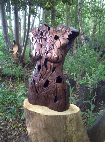 Louise Giblin