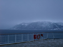 2007