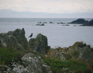 2008